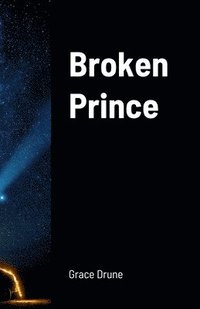 bokomslag Broken Prince
