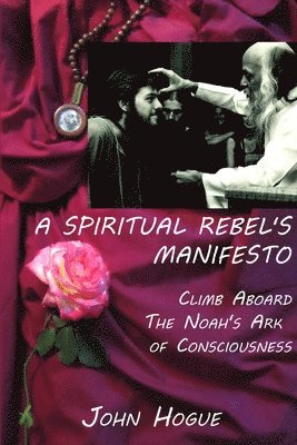 bokomslag Spiritual Rebel's Manifesto
