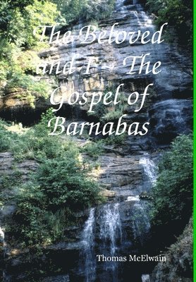 bokomslag The Beloved and I The Gospel of Barnabas