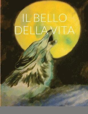 Fabrizio Belvisi - Bello Della Vita, Häftad