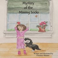 bokomslag Mystery of the Missing Socks