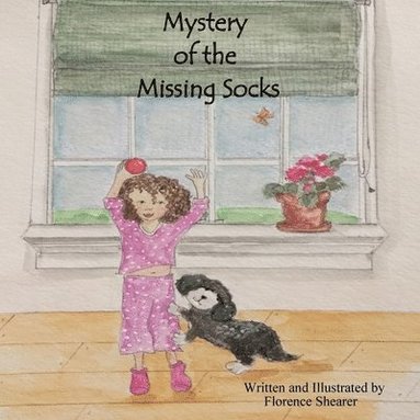 bokomslag Mystery of the Missing Socks