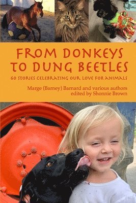 bokomslag From Donkeys to Dung Beetles