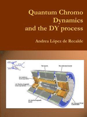 bokomslag QCD & the DY process
