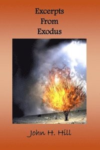 bokomslag Excerpts from Exodus