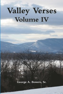 bokomslag Valley Verses Volume IV