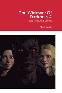 bokomslag The Widower Of Darkness 4