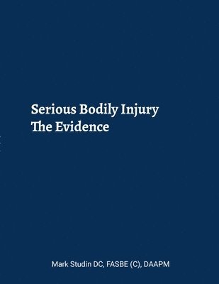 bokomslag Serious Bodily Injury