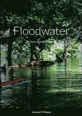 Floodwater