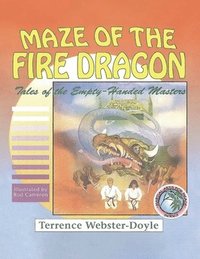 bokomslag Maze of the Fire Dragon