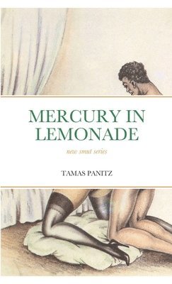 Tamas Panitz - Mercury in Lemonade, Häftad