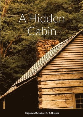 A Hidden Cabin 1