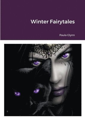 bokomslag Winter Fairytales