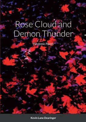 bokomslag Rose Cloud and Demon Thunder