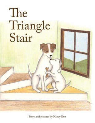 bokomslag Triangle Stair