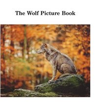 bokomslag The Wolf Picture Book