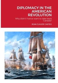 bokomslag Diplomacy in the American Revolution