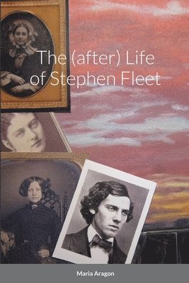 The (after) Life of Stephen Fleet 1