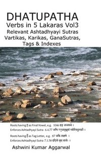 bokomslag Dhatupatha Verbs In 5 Lakaras Vol3