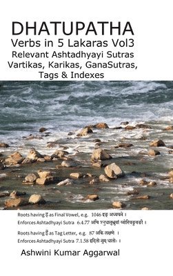 Ashwini Kumar Aggarwal - Dhatupatha Verbs In 5 Lakaras Vol3, Inbunden