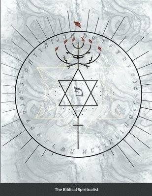 Stephen Coates - Biblical Spiritualist A Biblical Guide For Spiritual Awakening And Awareness, Häftad