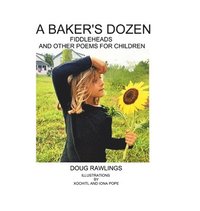 bokomslag Baker's Dozen