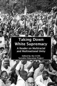 bokomslag Taking Down White Supremacy