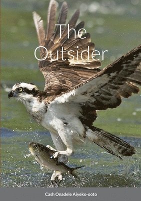 The Outsider 1