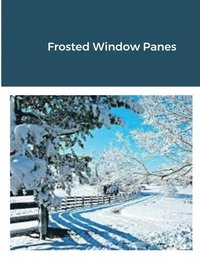 bokomslag Frosted Window Panes