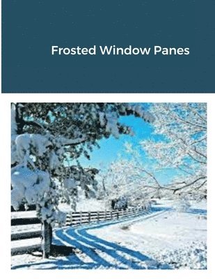 bokomslag Frosted Window Panes