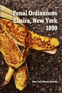 bokomslag Penal Ordinances of Elmira, New York 1899