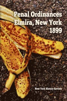New York History Review - Penal Ordinances of Elmira, New York 1899, Häftad