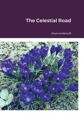 Anya Vonderluft, Anya VonderLuft - Celestial Road, Inbunden
