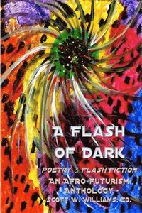 bokomslag A Flash of Dark