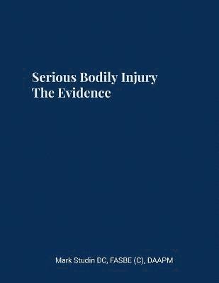 bokomslag Serious Bodily Injury