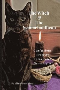 bokomslag Witch & The Seanachaidhean