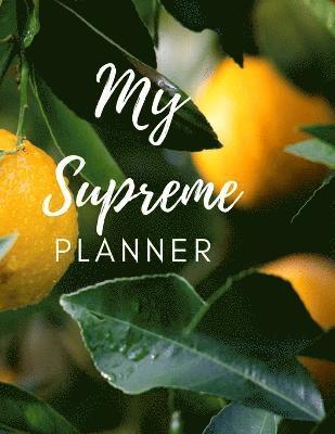 bokomslag The Supreme Planner