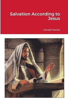 bokomslag Salvation According to Jesus