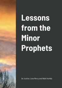 bokomslag Lessons from the Minor Prophets