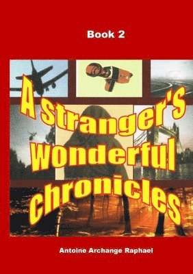 bokomslag A stranger's wonderful chronicles, Book 2