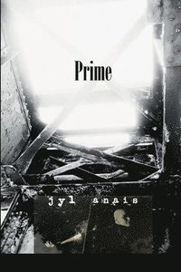 bokomslag Prime