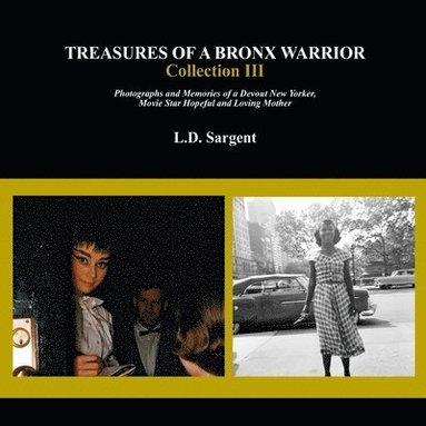 bokomslag Treasures of a Bronx Warrior, Collection III