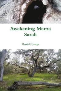 bokomslag Awakening Mama Sarah