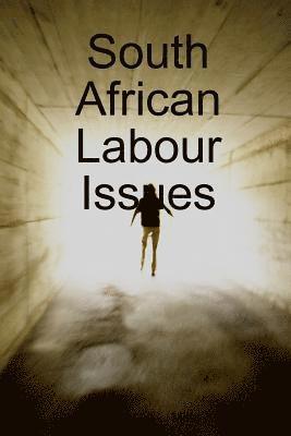 bokomslag South African Labour Issues