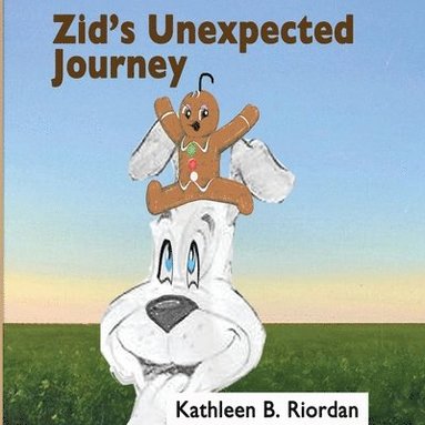 bokomslag Zid's Unexpected Journey