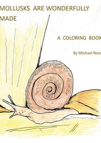 bokomslag Mollusks are Wonderfully Designed