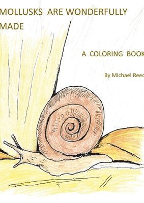 bokomslag Mollusks are Wonderfully Designed