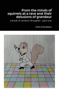 bokomslag From the Minds of Squirrels At a Rave and Their Delusions of Granduer