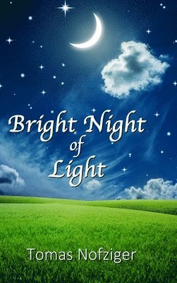 bokomslag Bright Night of Light