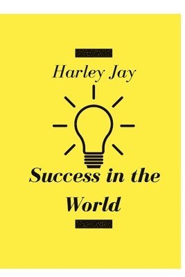 bokomslag Success in the World